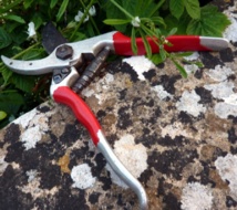 Image d'illustration. Image d'illustration.