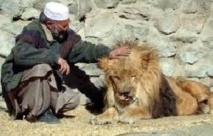 Une nouvelle vie au zoo pour le lion qui vivait sur un toit de Kaboul Une nouvelle vie au zoo pour le lion qui vivait sur un toit de Kaboul