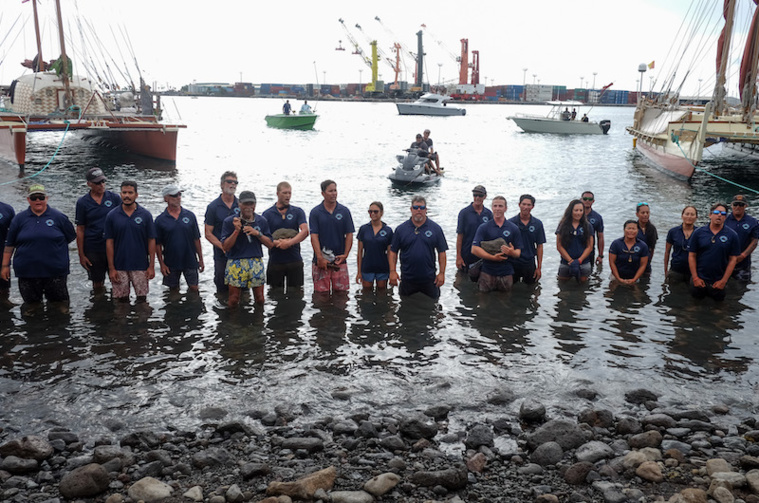 L'arrivée de Hōkūle'a et Hikianalia à Papeete L'arrivée de Hōkūle'a et Hikianalia à Papeete