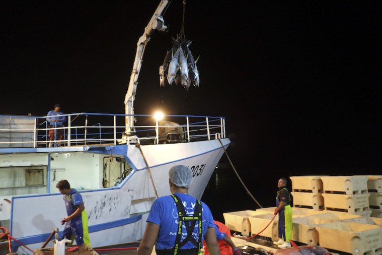 L'économie bleue, combien ça pèse au fenua L'économie bleue, combien ça pèse au fenua