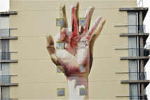 Festival Ono'u : trois maîtres du photoréalisme au fenua Festival Ono'u : trois maîtres du photoréalisme au fenua