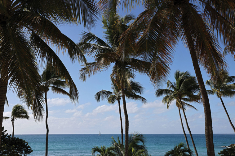 Thomas COEX / AFP Thomas COEX / AFP