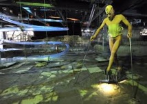 Une danse, le sexe relié à un coq, conduit un artiste devant le tribunal Une danse, le sexe relié à un coq, conduit un artiste devant le tribunal