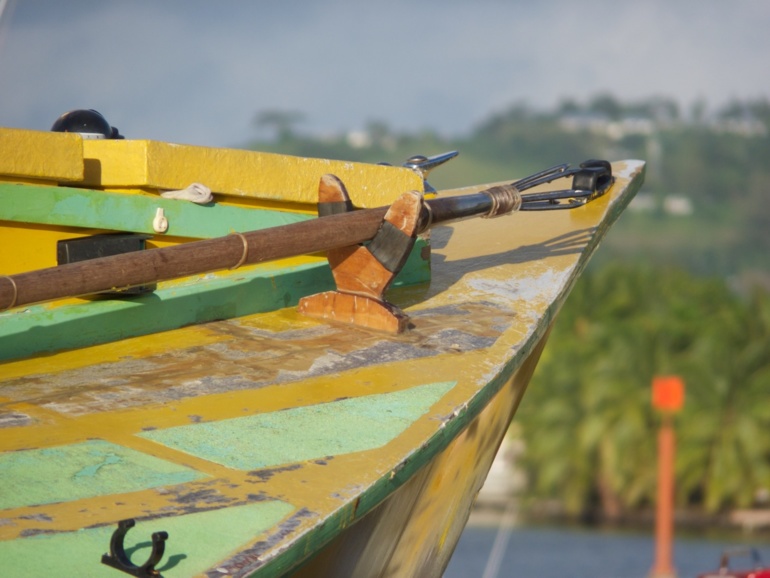 L'avenir du poti marara reste incertain. - Crédit photo : C.M L'avenir du poti marara reste incertain. - Crédit photo : C.M