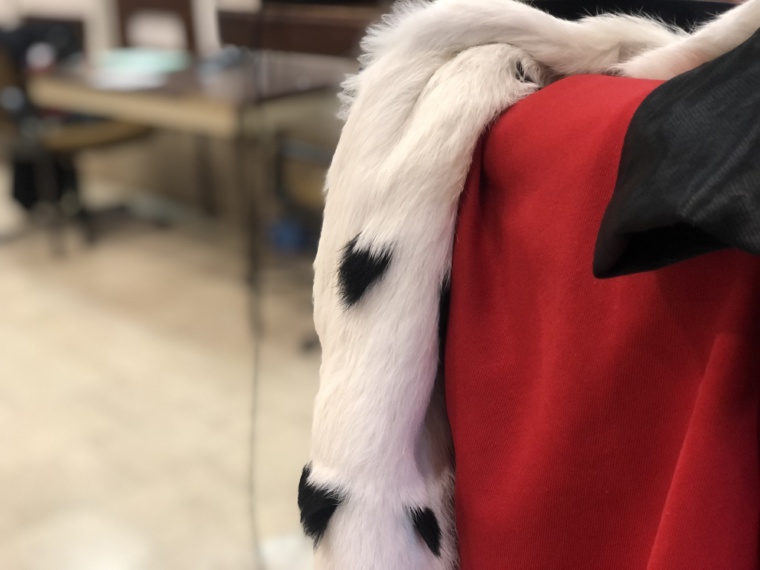 16 ans ferme pour avoir battu et tué sa compagne