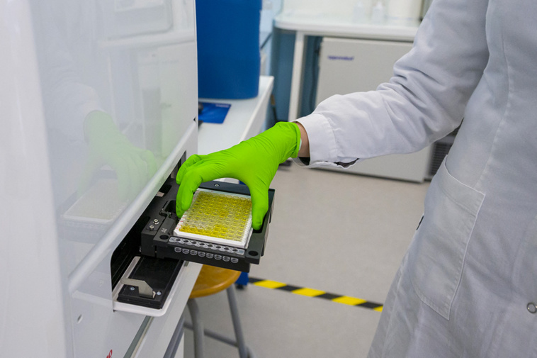 JEAN-CHRISTOPHE VERHAEGEN / AFP