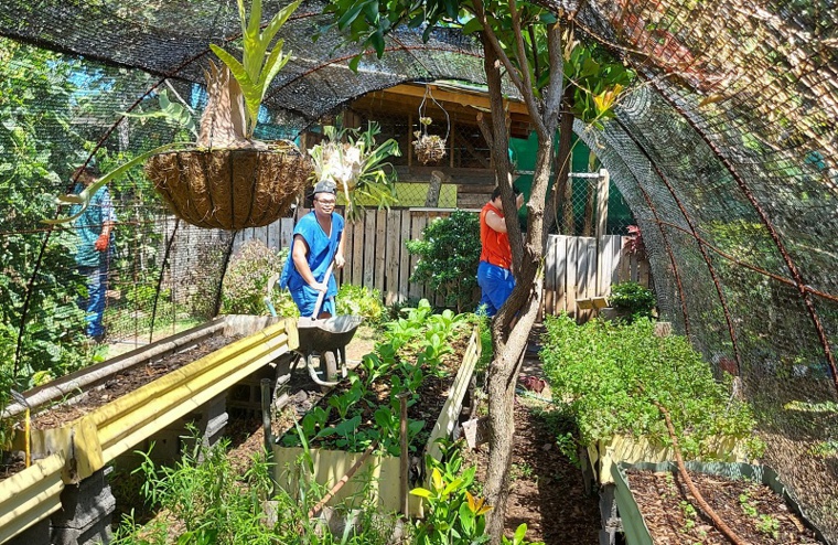 Achats solidaires avec le Fa'a'apu du cœur Achats solidaires avec le Fa'a'apu du cœur