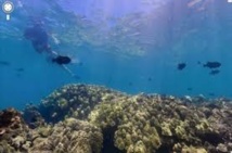 La recherche en milieu marin va bénéficier du programme d'investissements d'avenir La recherche en milieu marin va bénéficier du programme d'investissements d'avenir