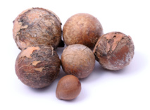 Culture : le « taurumi » ou l’art d’apaiser le corps et l’esprit Culture : le « taurumi » ou l’art d’apaiser le corps et l’esprit