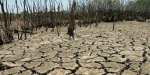Réchauffement: le Giec alerte sur l'insécurité alimentaire et les risques de conflit Réchauffement: le Giec alerte sur l'insécurité alimentaire et les risques de conflit