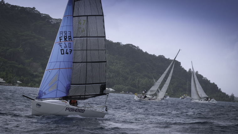 L'année dernière 35 bateaux, toutes catégories, avaient pris le départ de la Tahiti Pearl Regatta. L'année dernière 35 bateaux, toutes catégories, avaient pris le départ de la Tahiti Pearl Regatta.