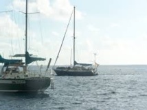 Image d'illustration Image d'illustration