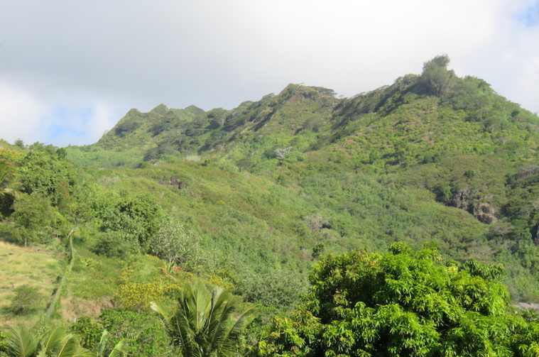 L'homme était parti seul en randonnée mercredi sur le sentier du Mont Rotui. L'homme était parti seul en randonnée mercredi sur le sentier du Mont Rotui.