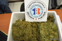 Photo d'archive Photo d'archive