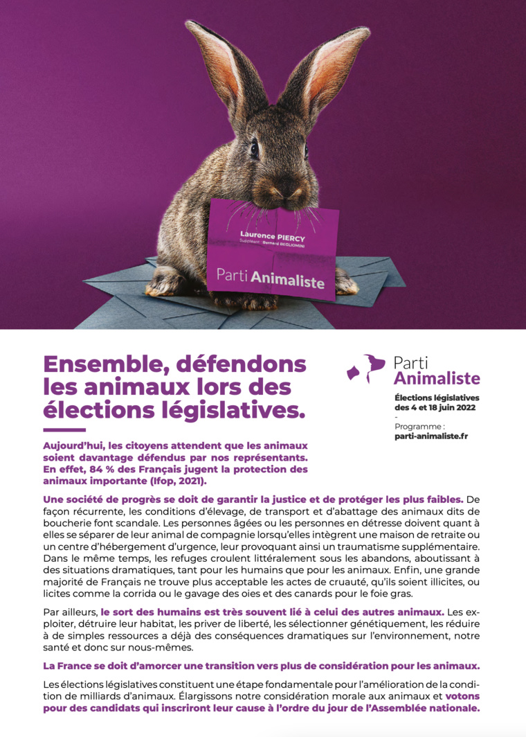 Législatives 2022 – Laurence Piercy : "La voix de l'animal" Législatives 2022 – Laurence Piercy : "La voix de l'animal"