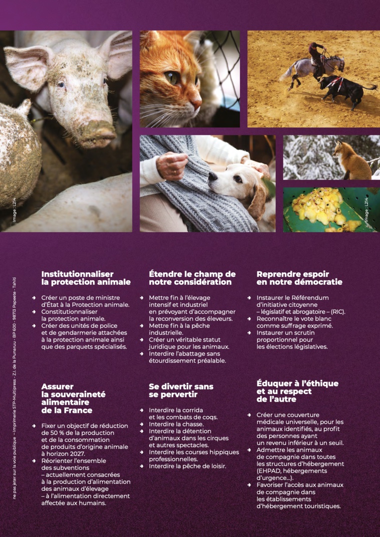 Législatives 2022 – Laurence Piercy : "La voix de l'animal" Législatives 2022 – Laurence Piercy : "La voix de l'animal"