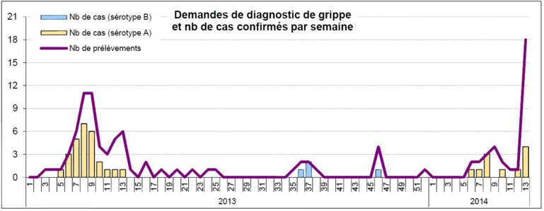 Dengue en Polynésie: l'épidémie persiste et s'aggrave