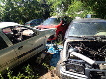 Illustration carcasse Arue Illustration carcasse Arue