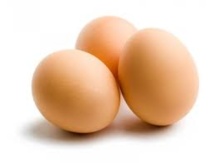 Des oeufs bio mais des poules qui le sont moins Des oeufs bio mais des poules qui le sont moins