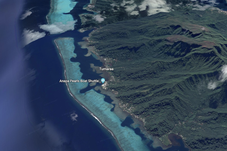 Législatives 2022 - 1er tour : Tuterai Tumahai en tête à Tumara'a Législatives 2022 - 1er tour : Tuterai Tumahai en tête à Tumara'a