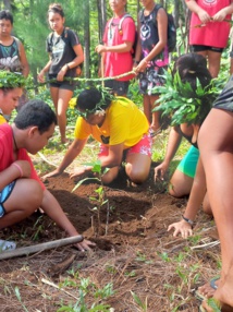 Reo Tahiti : de la classe à la forêt Reo Tahiti : de la classe à la forêt
