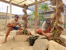 La MFR de Hao veut se développer La MFR de Hao veut se développer