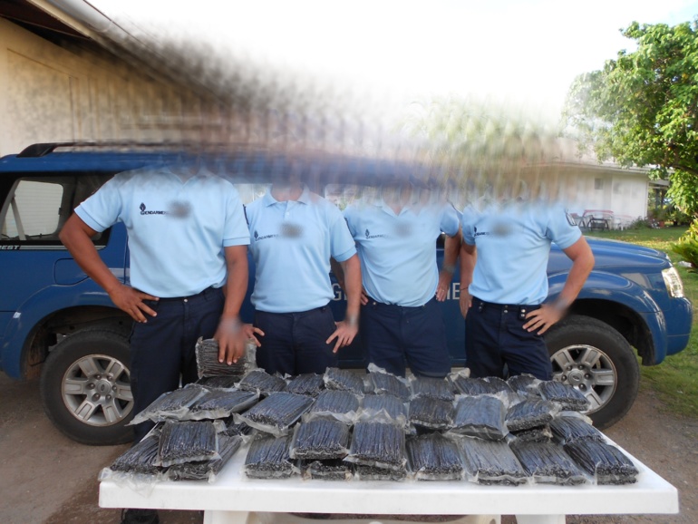 Tahaa: les gendarmes coffrent les voleurs de vanille