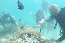 156 collègiens de Moorea se jettent à l'eau 156 collègiens de Moorea se jettent à l'eau