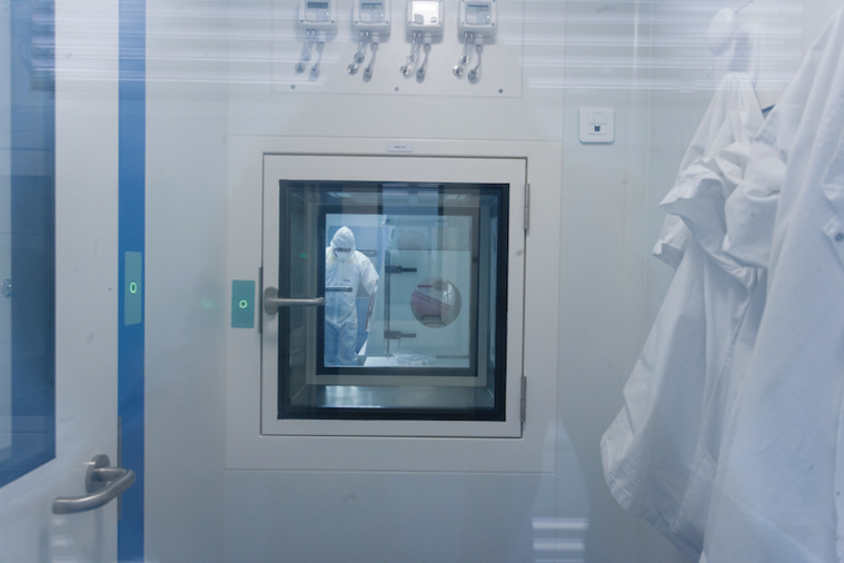 Un premier cas de sous-variant BA.4 ou BA.5 en Polynésie Un premier cas de sous-variant BA.4 ou BA.5 en Polynésie