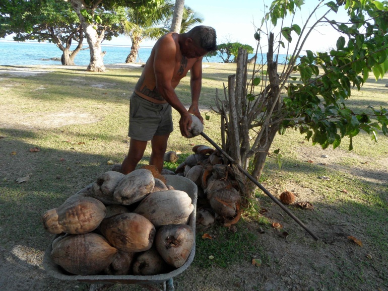 Le Championnat de Sports et jeux traditionnels se poursuit ce week-end Le Championnat de Sports et jeux traditionnels se poursuit ce week-end