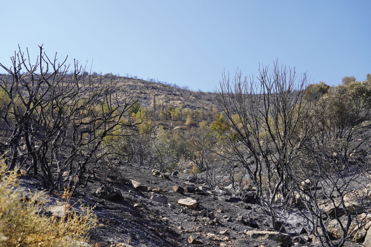 Etienne TORBEY / KKTCB / AFP Etienne TORBEY / KKTCB / AFP