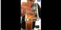 Un Britannique condamné pour avoir avalé un poisson rouge vivant