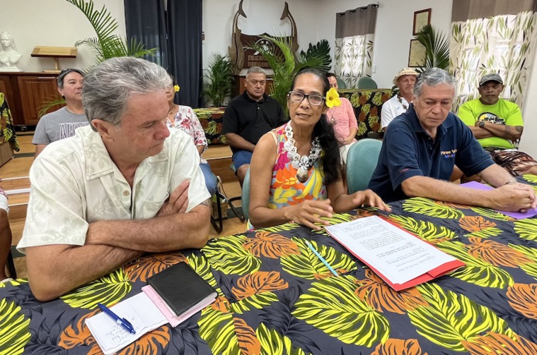 Arue fermement opposée au projet du Group City au Tahara'a Arue fermement opposée au projet du Group City au Tahara'a