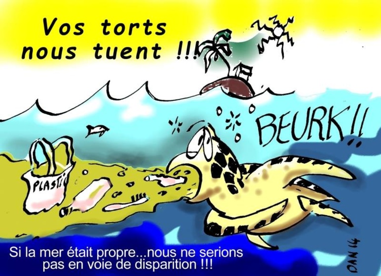 Le sujet vu par Daniel Gouzien Le sujet vu par Daniel Gouzien