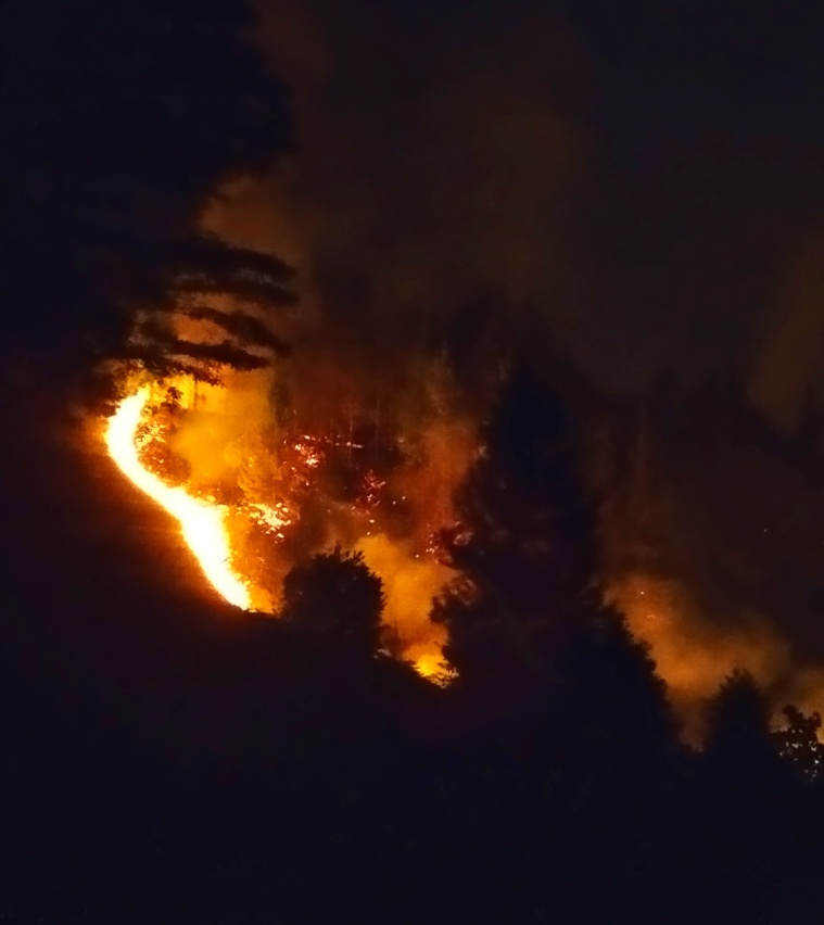 (Photo : Sandrine Picard Ceccarelli).