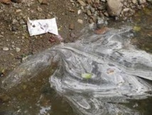 Pesticides dans l'eau: les agriculteurs ont encore beaucoup à faire