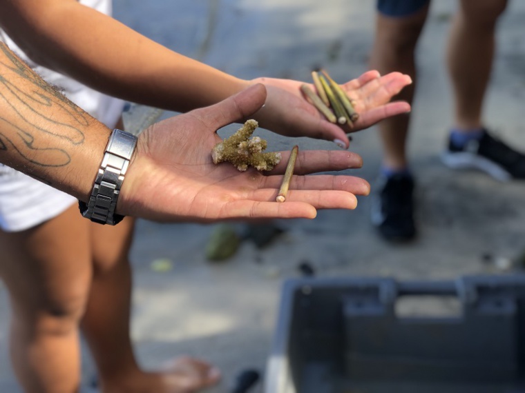 Formation bouturage de coraux pour quatre détenus de Tatutu
