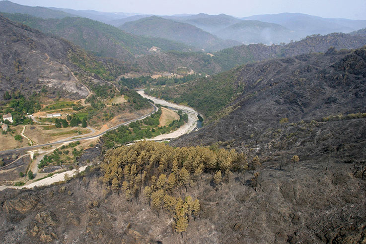 ARNAUD BRUNET / AFP POOL / AFP