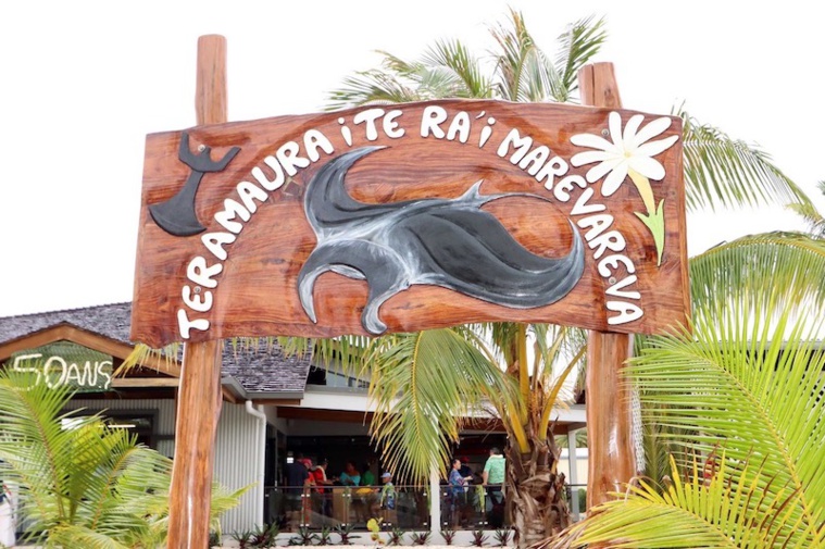 La nouvelle aérogare de 557 m2, peut accueillir 150 passagers. Les travaux ont été financés par le Pays, pour un montant de 190 millions de Fcfp. La nouvelle aérogare de 557 m2, peut accueillir 150 passagers. Les travaux ont été financés par le Pays, pour un montant de 190 millions de Fcfp.