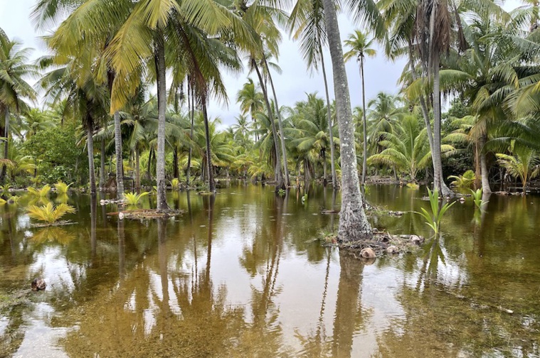 Houle : réveil difficile pour les habitants de Hao Houle : réveil difficile pour les habitants de Hao