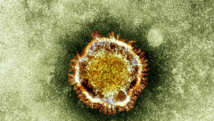 Premier cas de Coronavirus MERS au Liban (ministère)