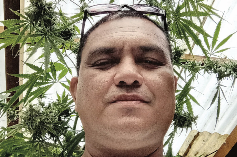 Cannabis et mineurs : La mise au point de THC Cannabis et mineurs : La mise au point de THC