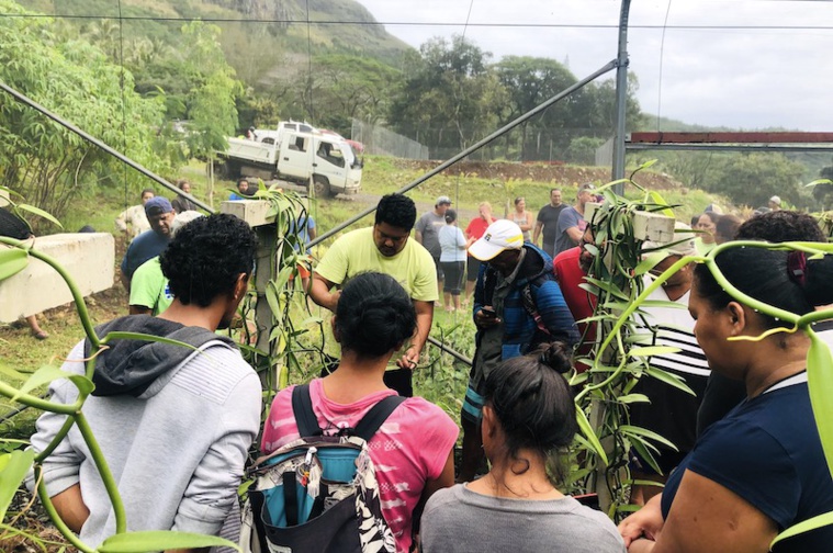 Après la perle, la vanille de Mangareva Après la perle, la vanille de Mangareva
