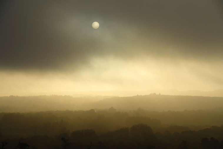 Fred TANNEAU / AFP Fred TANNEAU / AFP