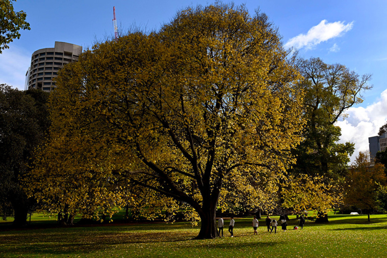 William WEST / AFP William WEST / AFP
