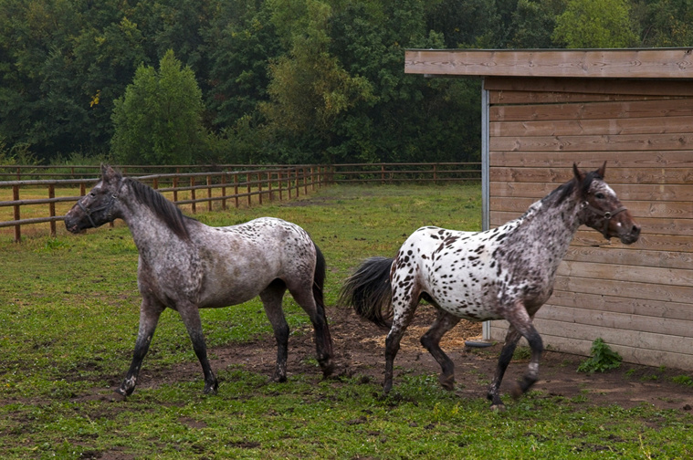 GUILLAUME SOUVANT / AFP GUILLAUME SOUVANT / AFP
