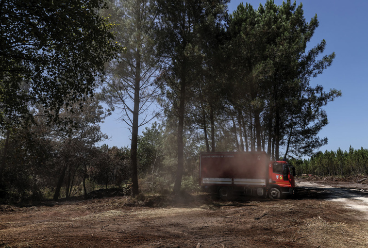 Thibaud MORITZ / AFP Thibaud MORITZ / AFP