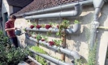 Les poissons font pousser les tomates: une start-up berlinoise réinvente l'agriculture en ville Les poissons font pousser les tomates: une start-up berlinoise réinvente l'agriculture en ville