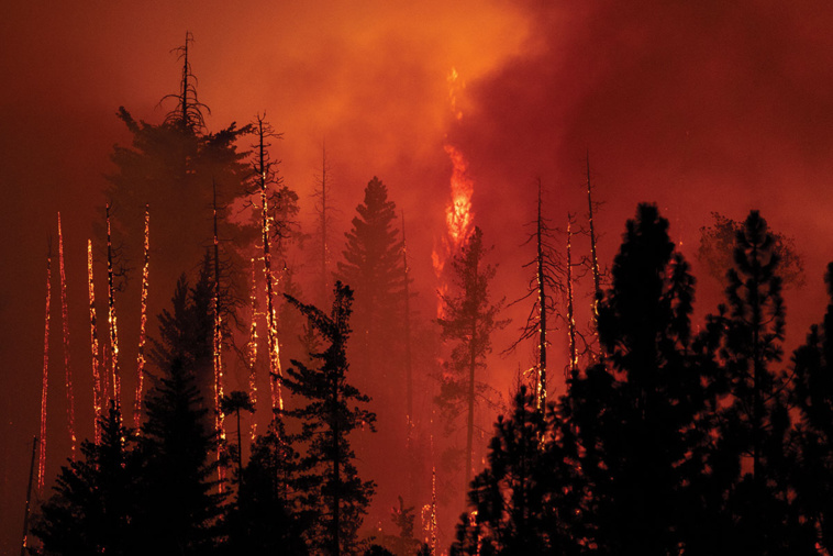 DAVID MCNEW / AFP DAVID MCNEW / AFP