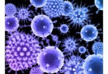 Un rapport réclame une stratégie plus ambitieuse contre les hépatites Un rapport réclame une stratégie plus ambitieuse contre les hépatites